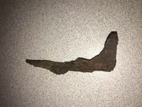 rusty nail.webp