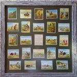 20151123_083233.webp 20151123_083233.webp