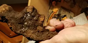 20180119_195522.webp