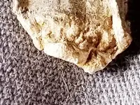 20180119_020244.webp