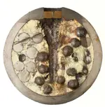 shell_halfsection_Bormann_9inch_US_Case-Shot.webp