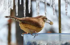 FSCN7841.webp FSCN7841.webp