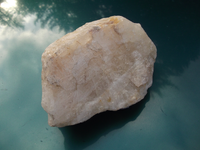 DSCF5218.webp