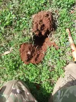 20180223_141217.webp