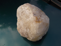 DSCF5216.webp