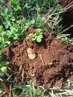 20180223_151938.webp