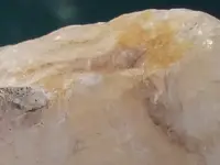 DSCF5226.webp