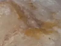 DSCF5227.webp