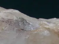 DSCF5230.webp