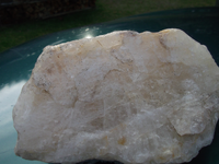 DSCF5220.webp