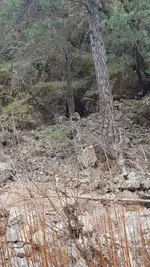 20180210_143007.webp