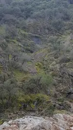 20180210_142919.webp