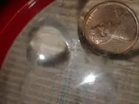 benjamins a penny.webp