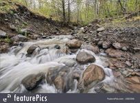 ImageUploadedByTreasureNet.com1519444602.143576.webp