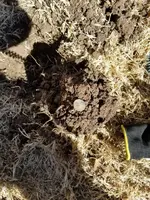 20180208_121535.webp