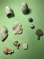 IMG_6087A.webp IMG_6087A.webp