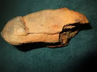 rock1.webp