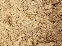 20180203_095948.webp