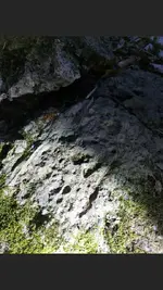 Screenshot_20171209-190031.webp