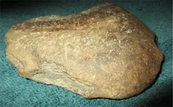 rock3 pic2.webp