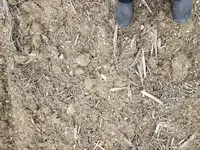 20180203_110604.webp