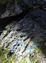 Screenshot_20180127-232050.webp