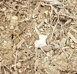 20180203_112249_closeup.webp 20180203_112249_closeup.webp