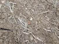 20180203_121439.webp