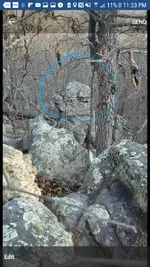 Screenshot_20180127-233349.webp