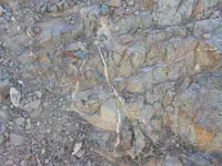 DSC00026.webp