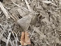 20180203_121541.webp
