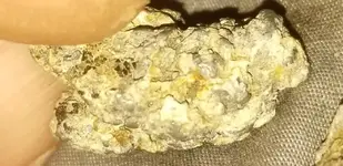 20180216_184227.webp