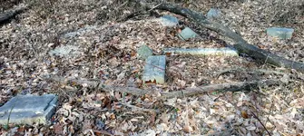 IMG_20180127_125733318.webp