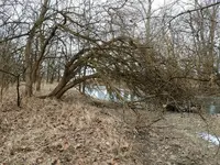 20180203_100955.webp