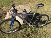 mongoose IBOC model.webp