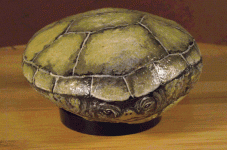 turtle.gif turtle.gif