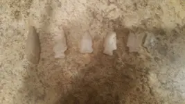 20180120_151340.webp