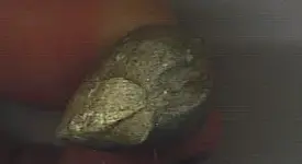 whatisit4.webp