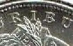 Morgan-6.webp
