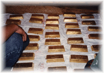 cambodian gold 3.gif