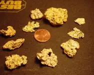 10 nuggets.webp