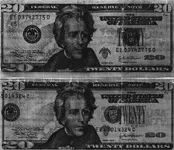 Twenty_Dollar_Bills.webp