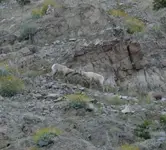 DSCN0168sm.webp