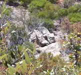Tom\'s Hike 021.webp