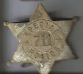 special police.webp