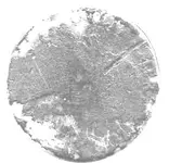 silvers.webp