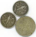 big coinage flipside.webp