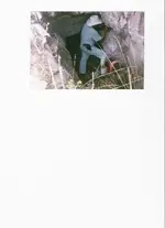 Me-44&Dog.webp