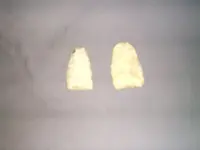 arrowheads 001.webp