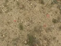 find the worked flint.webp